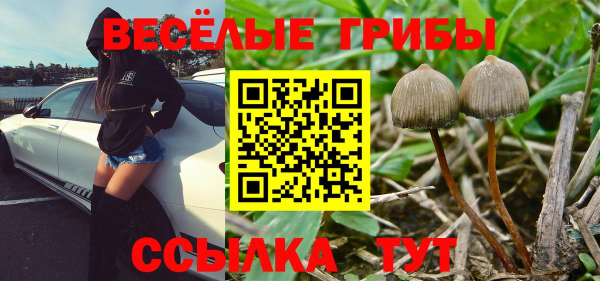 Псилоцибиновые грибы GOLDEN TEACHER  Вход с VPN  Рассказово 